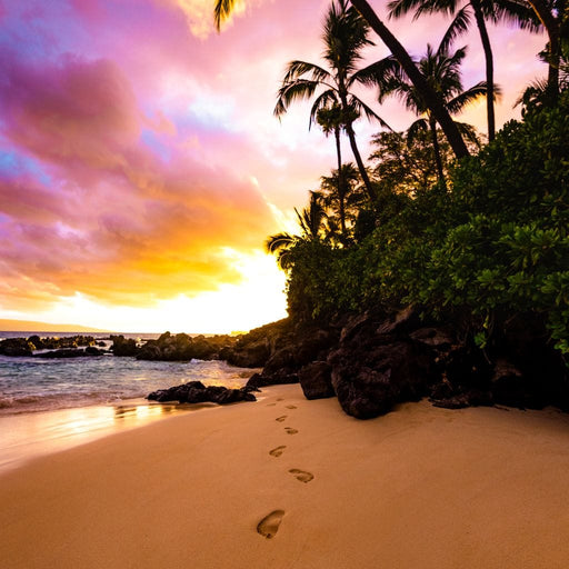 Footprints in the Sand - Lucas Moore Canvas Print
