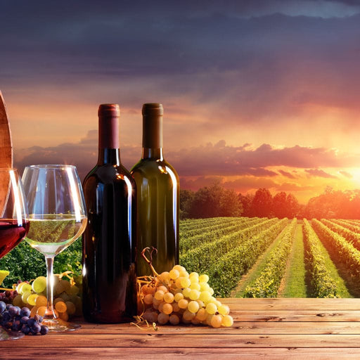 Wine Valley Sunset décor for the wall