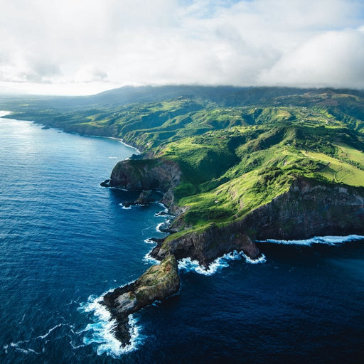 Maui Land & Sea - Lucas Moore Canvas Print