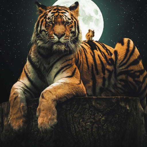 Tiger Squirel - Zenzdesign Canvas Print