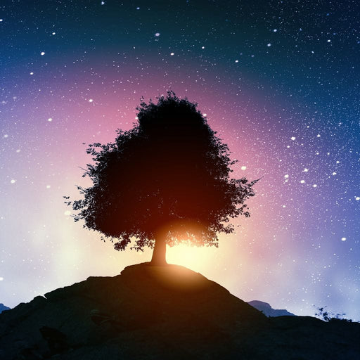 Spectacular Otherworldly Sunset Canvas Print