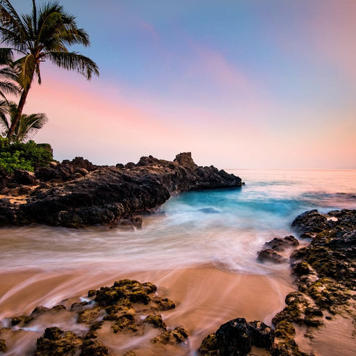 Hawaiian Paradise - Lucas Moore Canvas Print