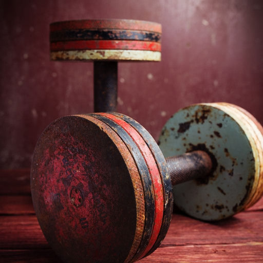 Rusty Dumbbells Canvas Print