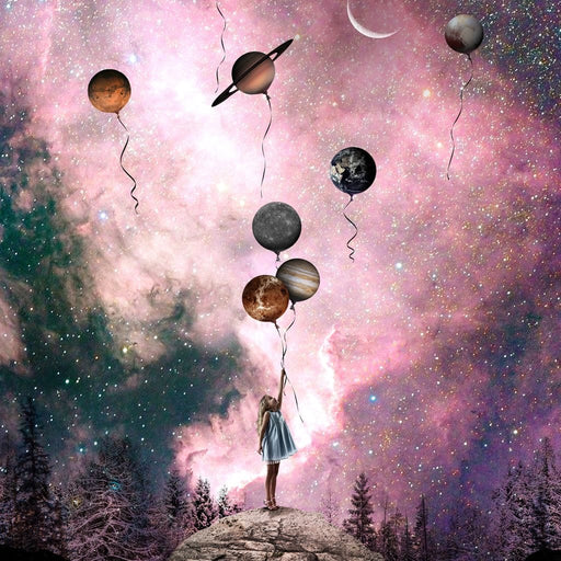 Rose Space - Natacha Einat Canvas Print