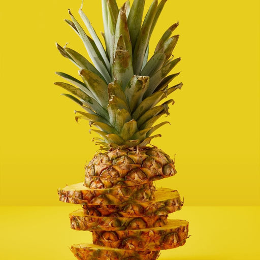 Sliced Pineapple Canvas Print