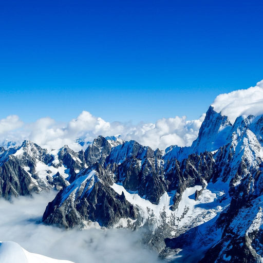 Mont Blanc - Canvas Print - photorealistic wall art of the beautiful mountain and a sea of clouds - this stunning painting of the view during winter season brings peace | NicheCanvas