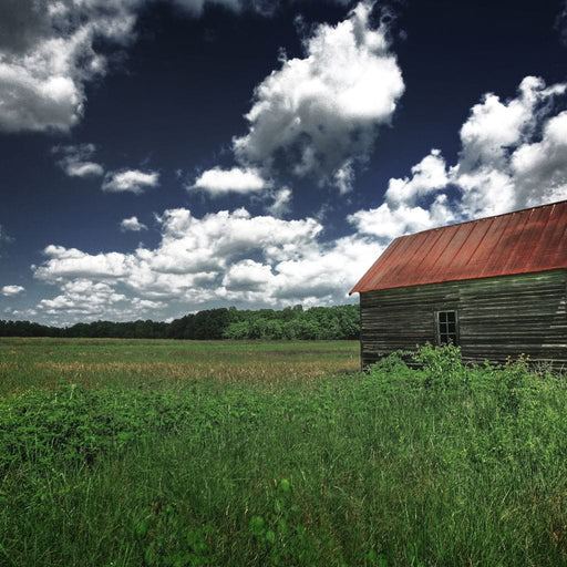 Old Barn in the Field Canvas Print