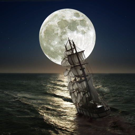 Sailing Under the Giant Moon Canvas Print