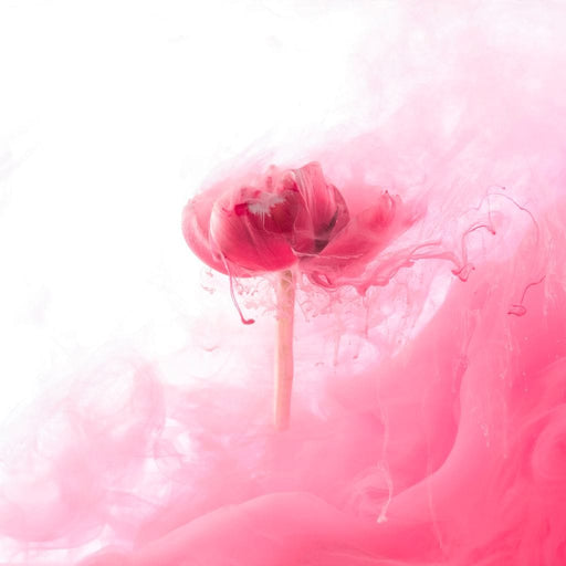 Motion of Love Canvas Print