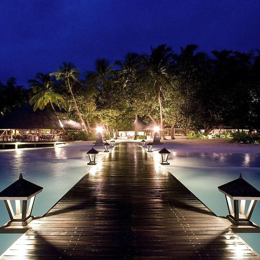 Night Vacation Canvas Print