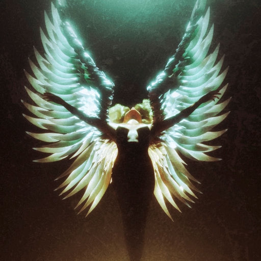 Angel Wings Ascending - G'n Art Canvas Print