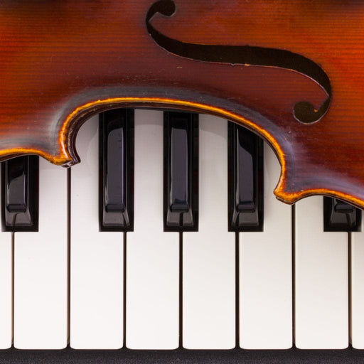 Violin & Piano Canvas Print