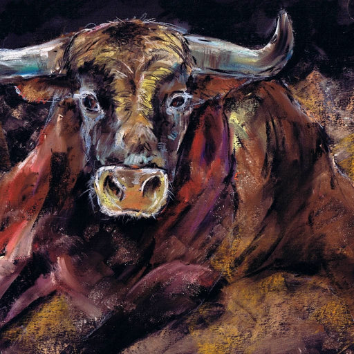 Brown Bull Charge Canvas Print