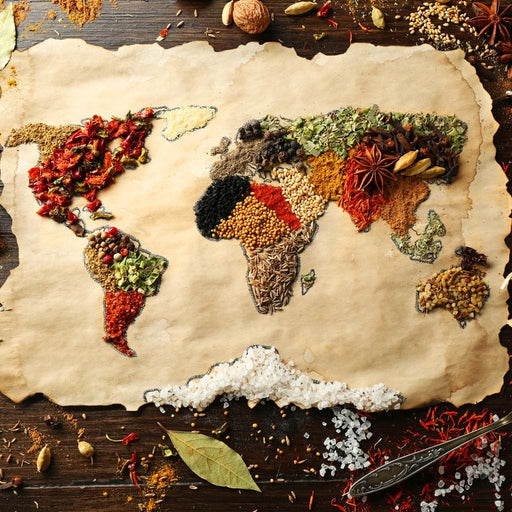 Spices Map of the World Canvas Print