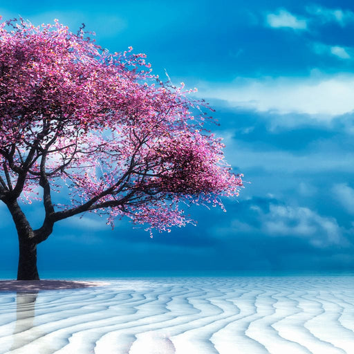 Lone Pink Tree Canvas Print