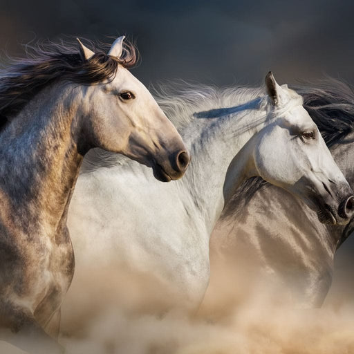 Running Horses - Canvas Print - photorealistic wall art of three elegant horses running - this work of art is a great addition to your home or office | NicheCanvas