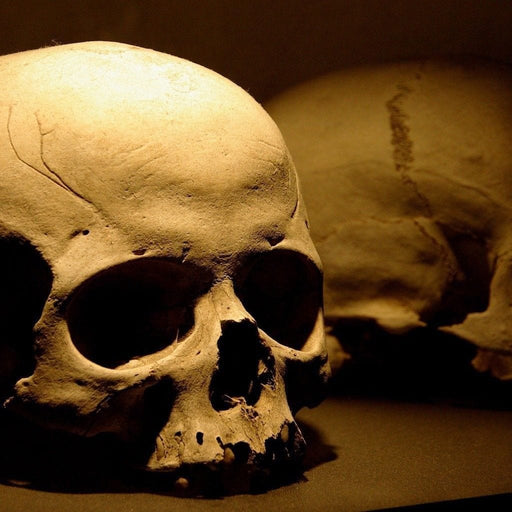 Dark Skulls - Canvas Print - unique wall art of a skull painting perfect for as a hanging decoration - this makes the perfect addition for your dark theme home | NicheCanvas