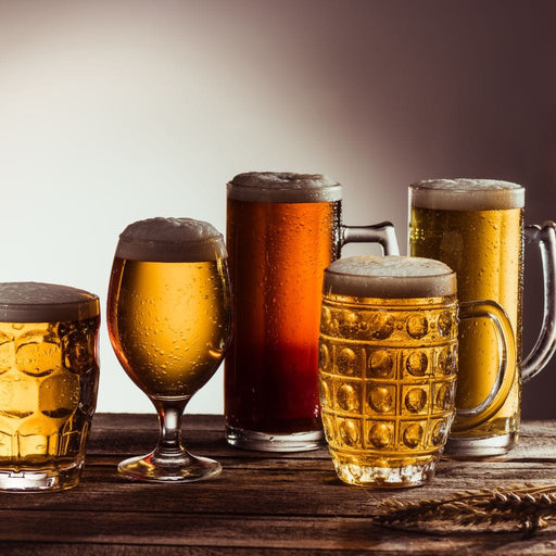 Beer Types Canvas Print