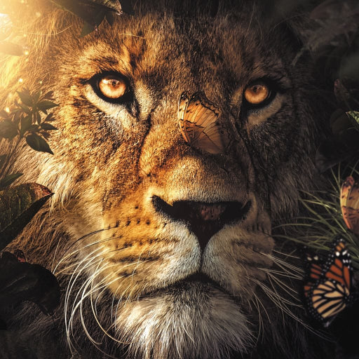 Lion Hiding - Zenzdesign Canvas Print