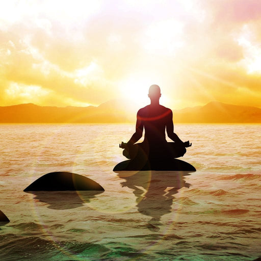 Meditation Master Canvas Print