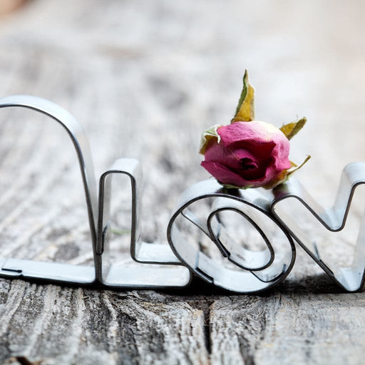 Romantic Love Canvas Print