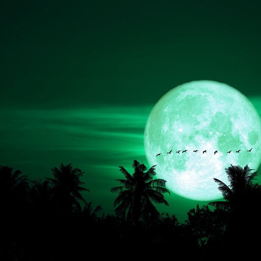 Emerald Moon - Canvas Print - moon wall art in a breathtaking emerald green color - this makes the perfect centerpiece in any room you hang it | NicheCanvas