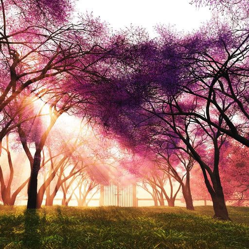 Enlightened Path - Canvas Print - gorgeous wall canvas of a spiritual path with pink trees - hang this to your home and it will surely brighten your living room | NicheCanvas