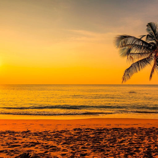 Tropical Sunset 5 piece beach paintings