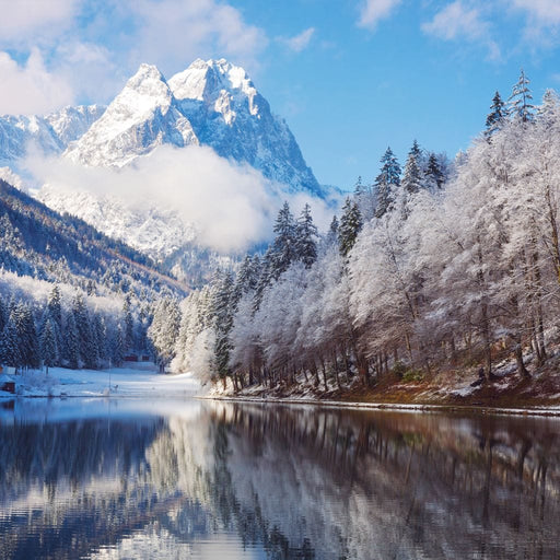 Winter in the Rockies Canvas Print