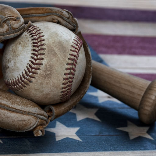 Baseball Nation Canvas Print