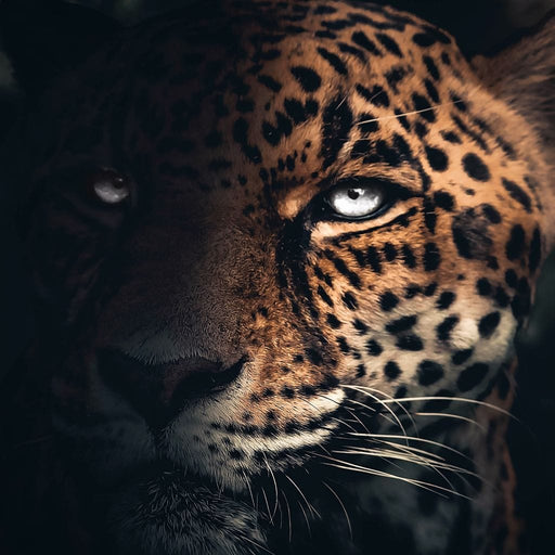 Jaguar Half - Zenzdesign Canvas Print