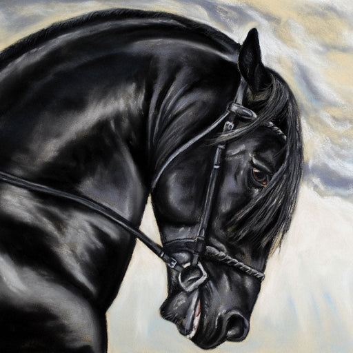 Black Friesian Horse Canvas Print