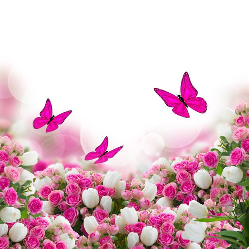 Pink Roses & Butterflies Canvas Print
