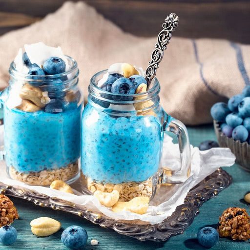 Chia Seeds & Blueberries Pudding Canvas Print