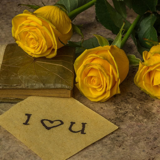 Yellow Roses Canvas Print