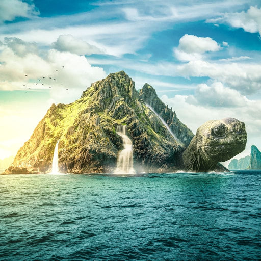 Turtle Island - Alexgraphex Canvas Print