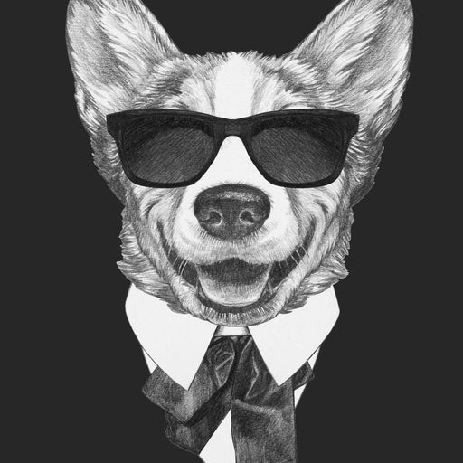 Dressed Up Corgi Canvas Print