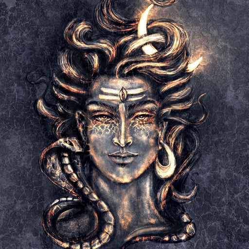 The Hindu God Shiva Canvas Print