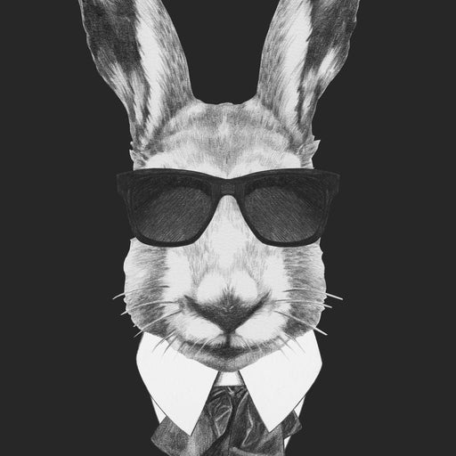 Dressed Up Rabbit Canvas Print