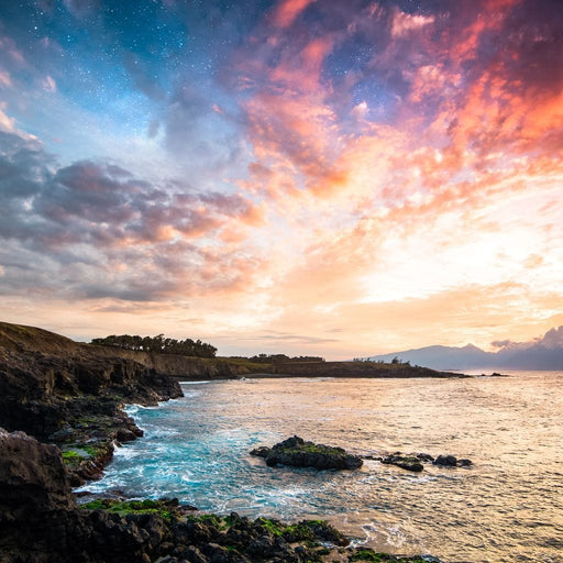 Night and Day - Lucas Moore Canvas Print