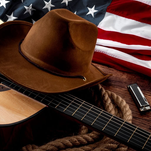 Country Music Canvas Print