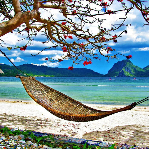 Hammock Beach - Canvas Print - astonishing view of a tropical calm beach wall art - this home decor will surely make you feel like you're on vacation | NicheCanvas