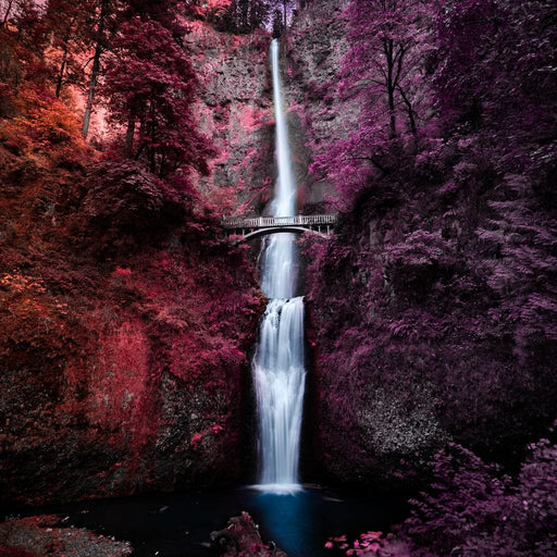 Colorful Falls - Lucas Moore Canvas Print