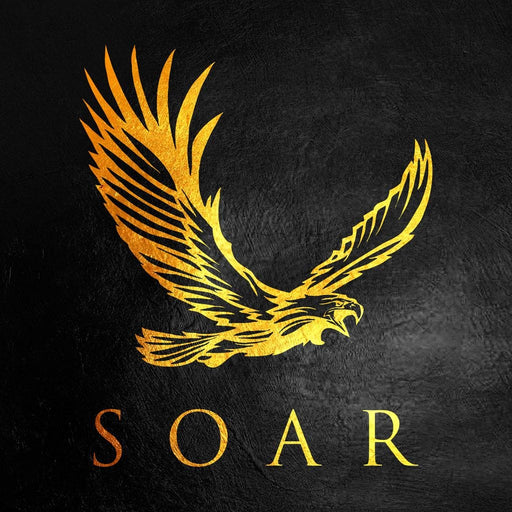 Soar - ABConcepts Canvas Print
