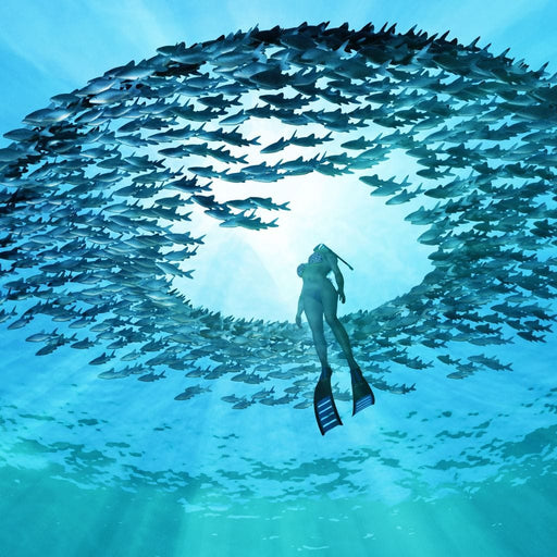 Eye of the Ocean Canvas Print