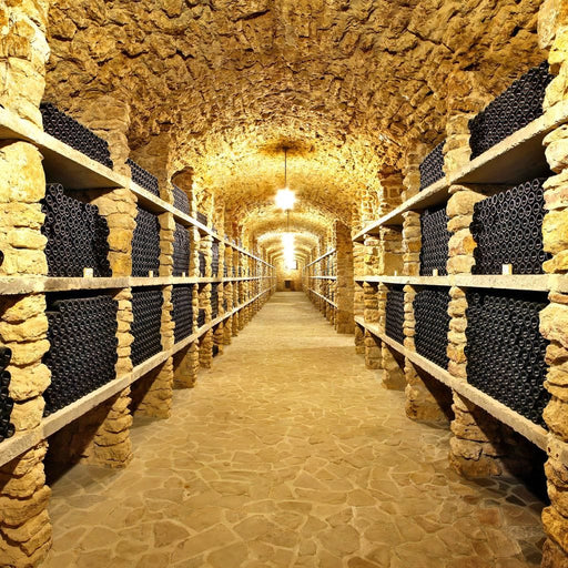 Wall of Wine Bottles Canvas Print