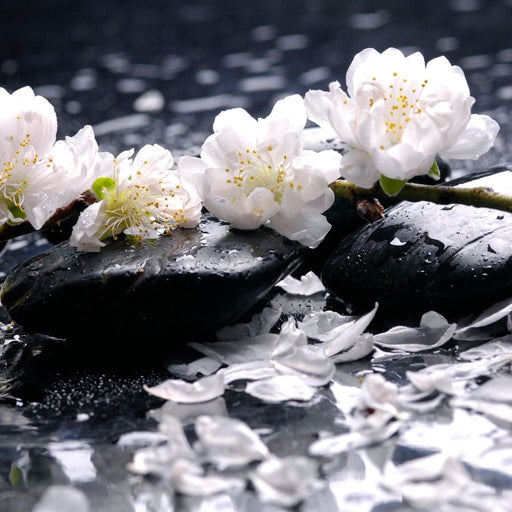 Spa Flowers Canvas Print