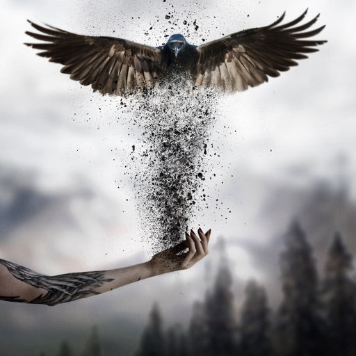 Power - Natacha Einat Canvas Print