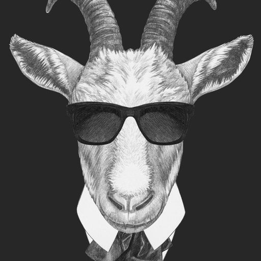 Dressed Up Goat Canvas Print
