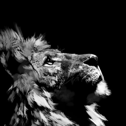 Lion Stare - Andy Brackpool Canvas Print